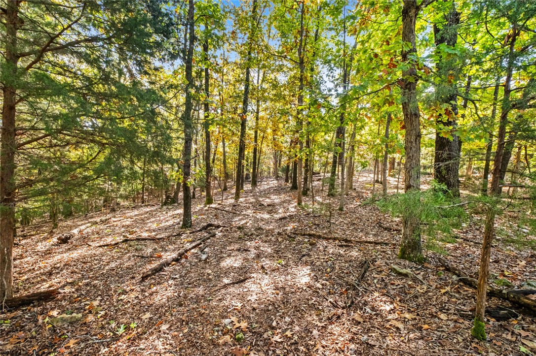 Tract 1 1601 Mundell Road