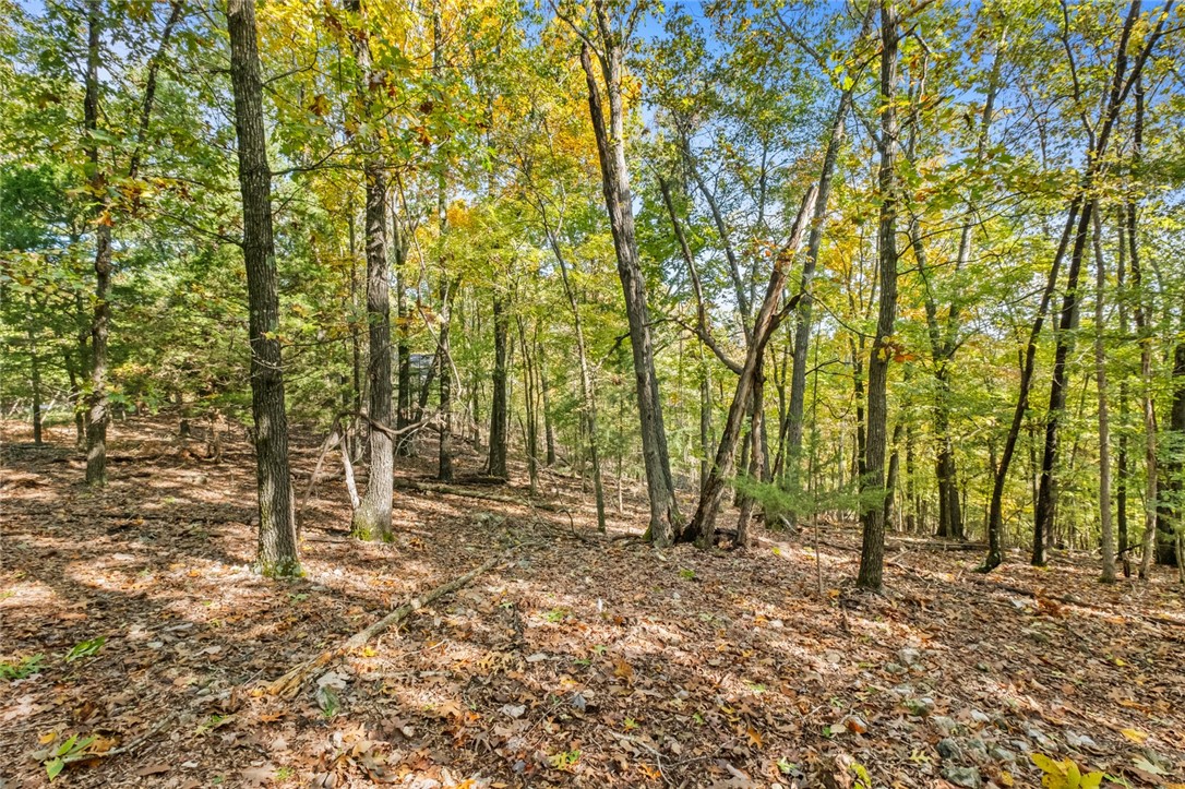 Tract 1 1601 Mundell Road