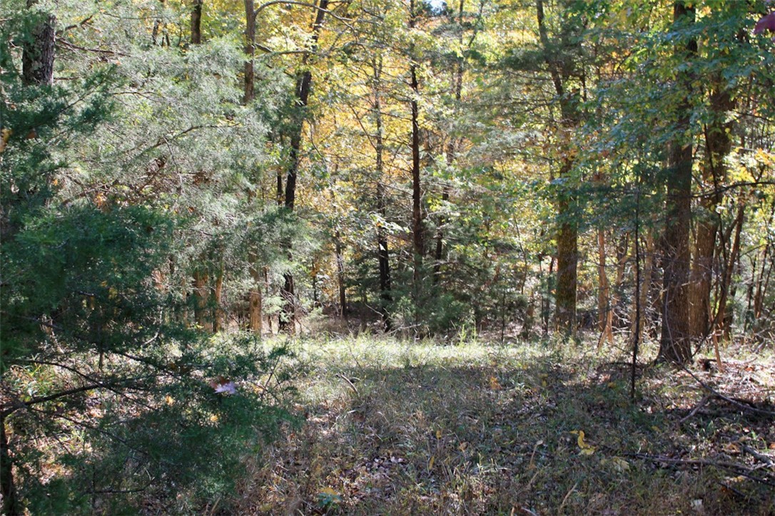 001 TBD Mundell Road