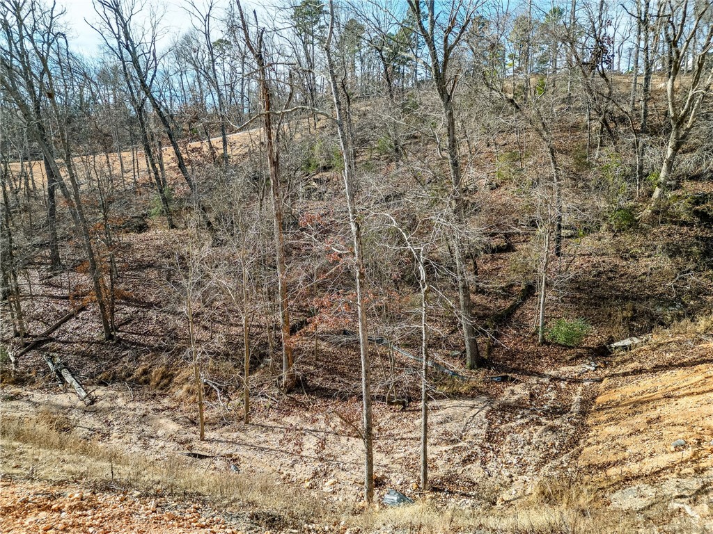 Lot 2 Winterberry Lane