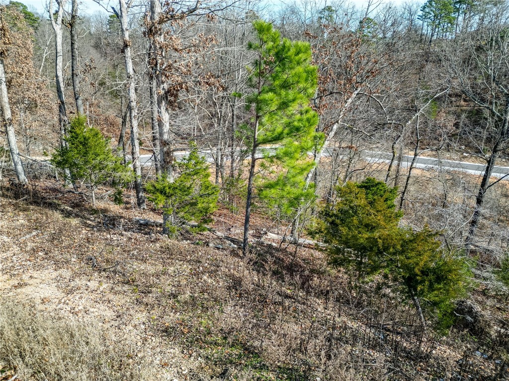 Lot 2 Winterberry Lane