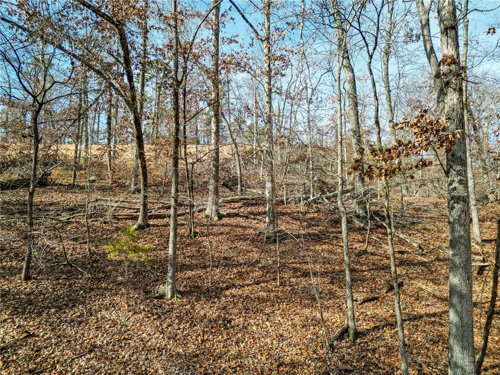 Lot 2 Winterberry Lane