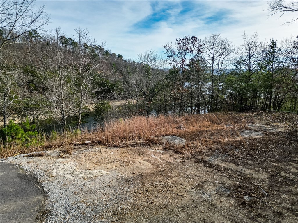 Lot 2 Winterberry Lane