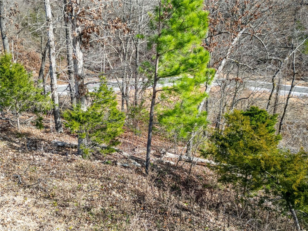 Lot 2 Winterberry Lane