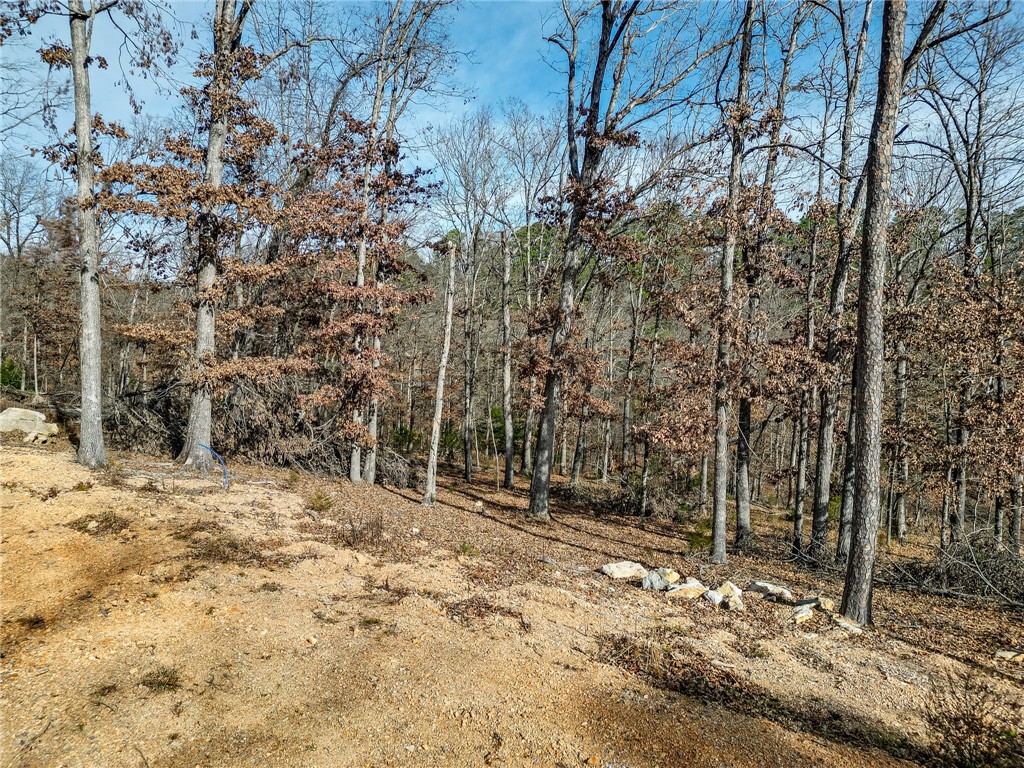 Lot 4 Winterberry Lane