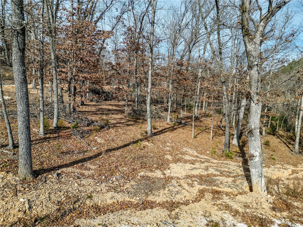 Lot 4 Winterberry Lane