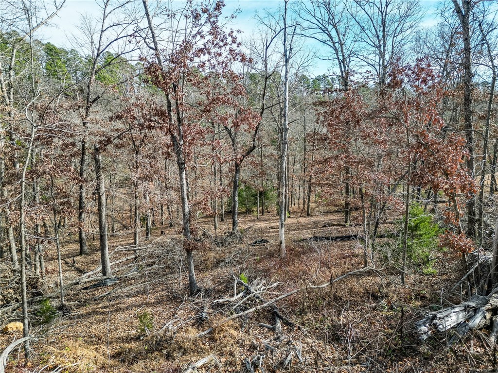 Lot 4 Winterberry Lane