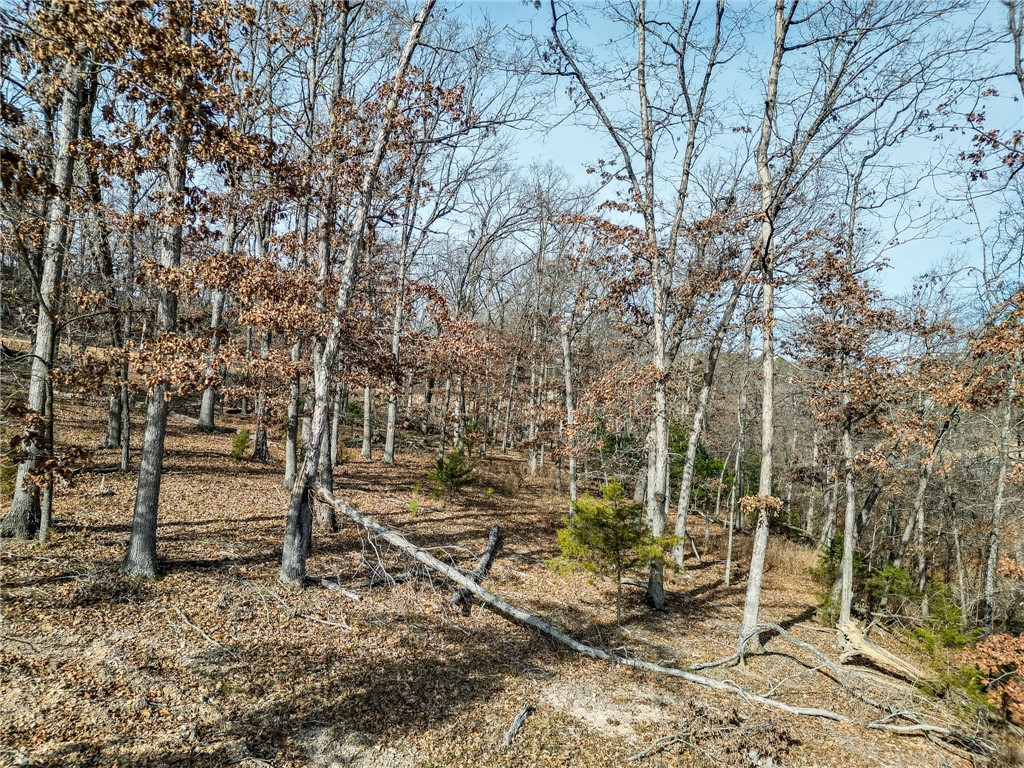 Lot 4 Winterberry Lane