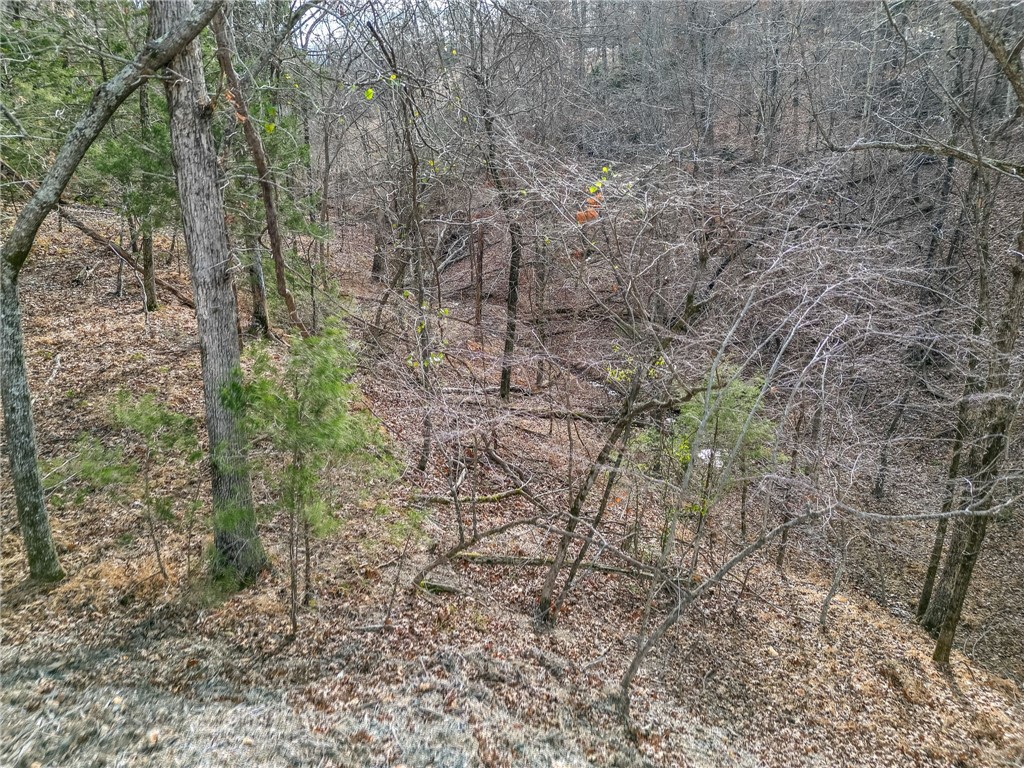 Lot 6 Blisslake Lane