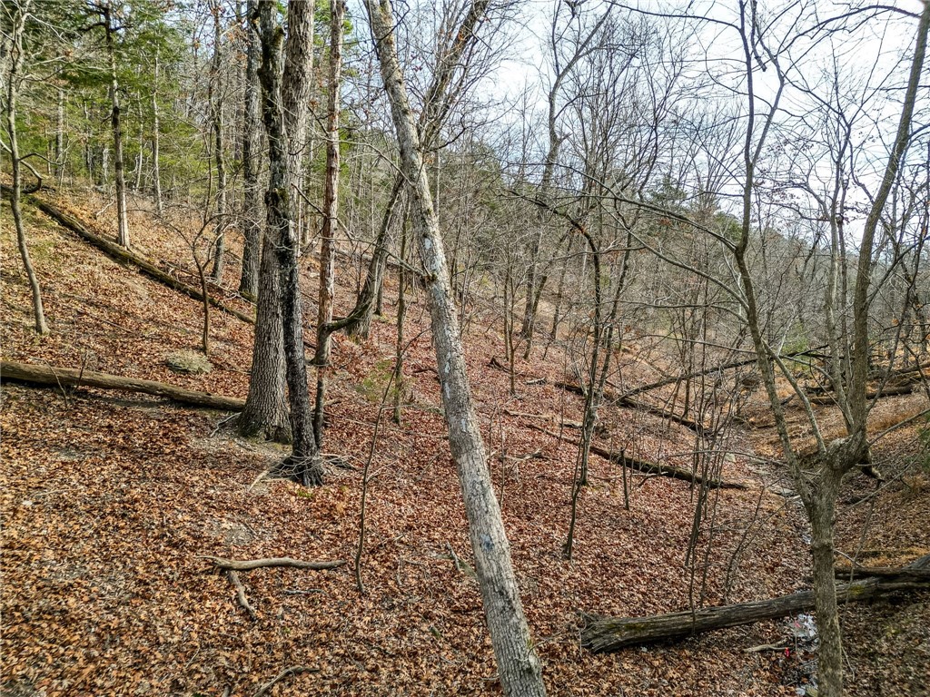 Lot 6 Blisslake Lane