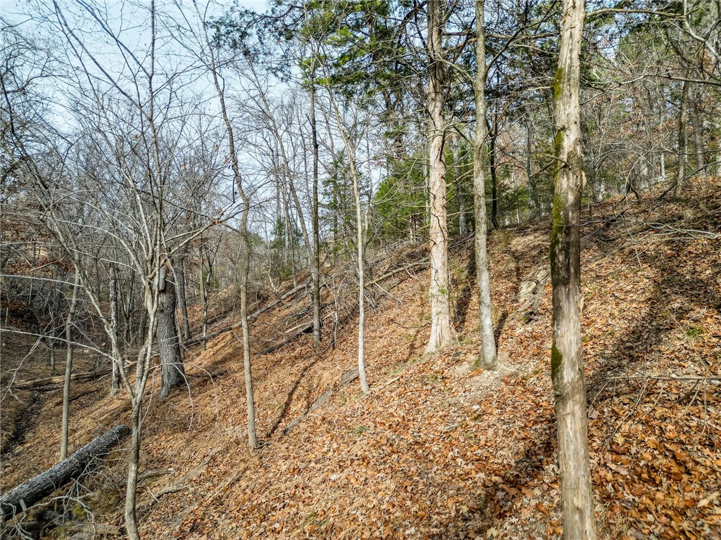 Lot 6 Blisslake Lane