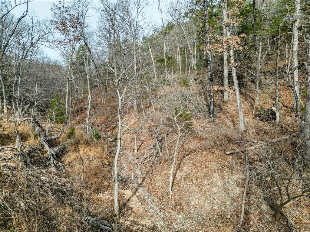 Lot 6 Blisslake Lane