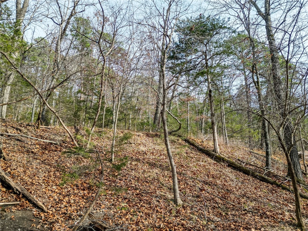 Lot 6 Blisslake Lane