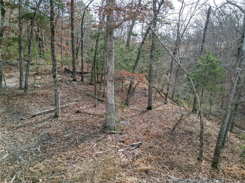 Lot 6 Blisslake Lane