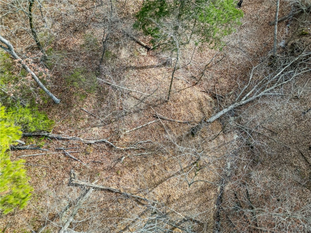 Lot 6 Blisslake Lane