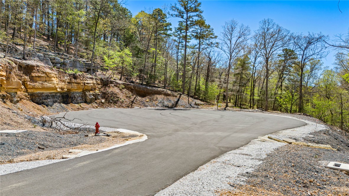 Lot 6 Blisslake Lane