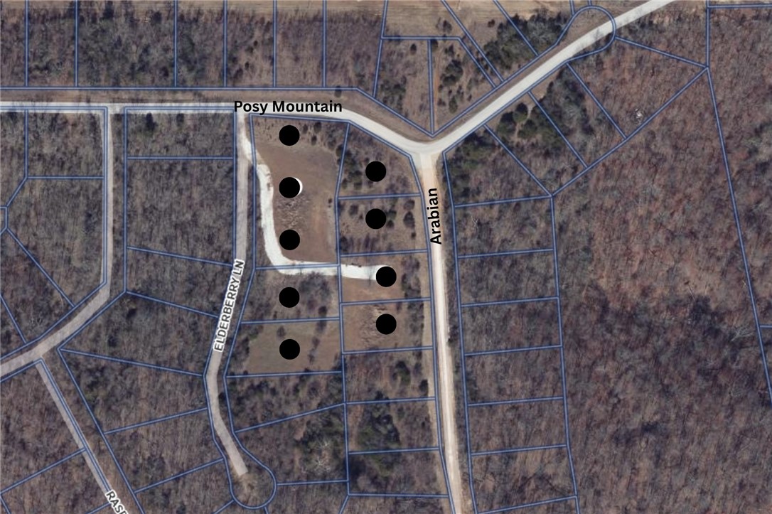 12716 Elderberry Lane