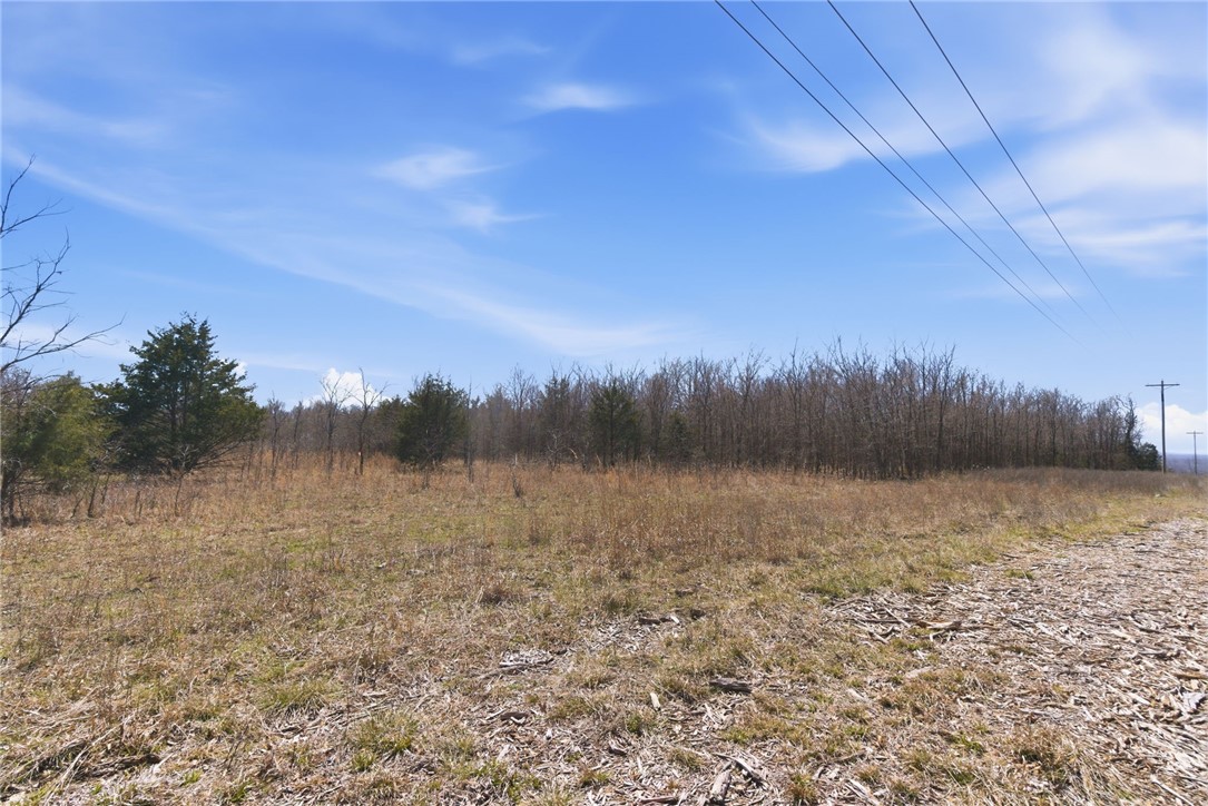 Lots 321-323 Posy Mountain Drive