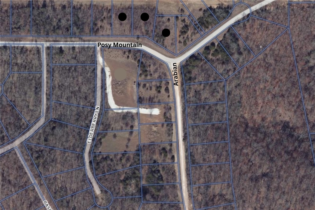 Lots 321-323 Posy Mountain Drive