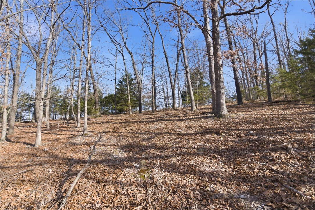 Tract 4 1601 Mundell Road