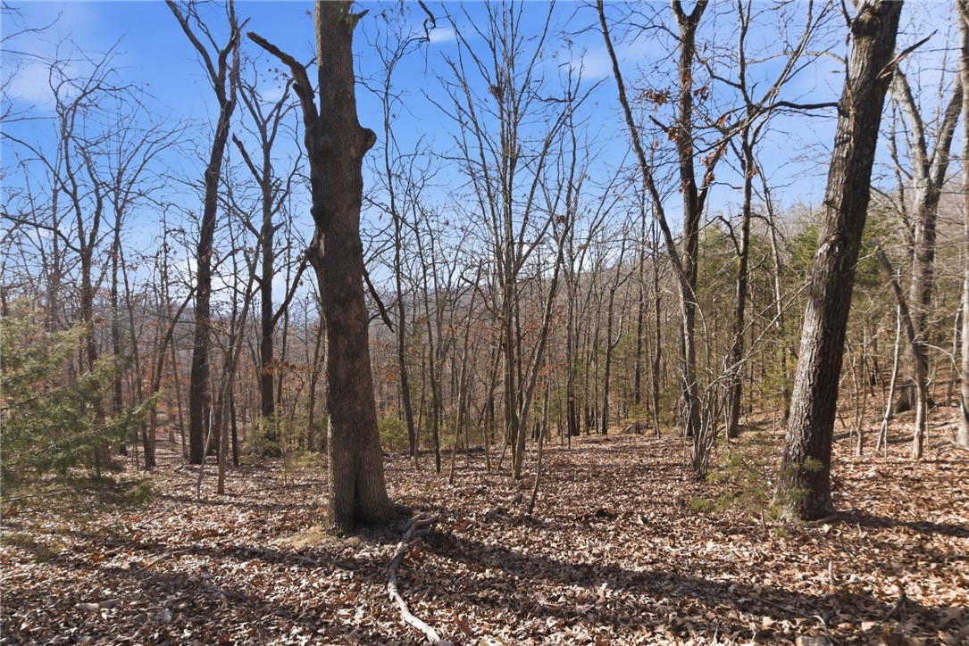 Tract 4 1601 Mundell Road