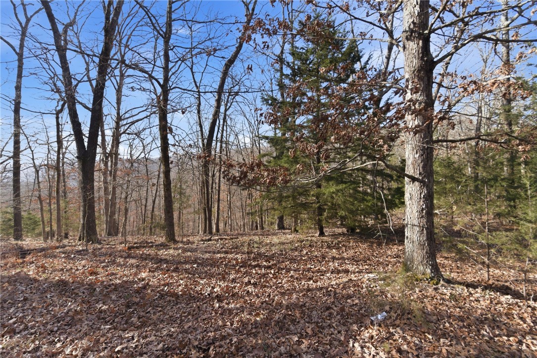 Tract 4 1601 Mundell Road