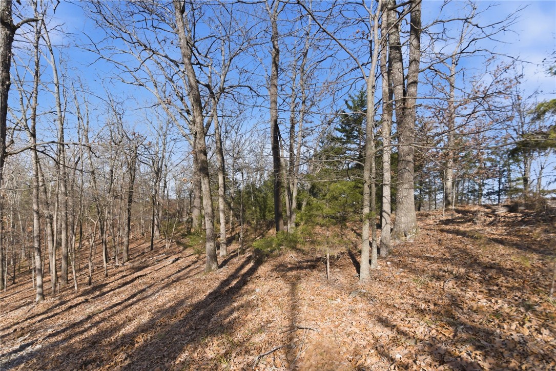 Tract 4 1601 Mundell Road