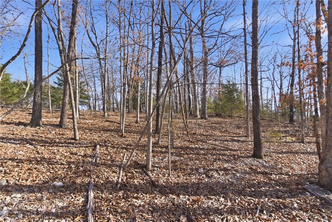 Tract 4 1601 Mundell Road