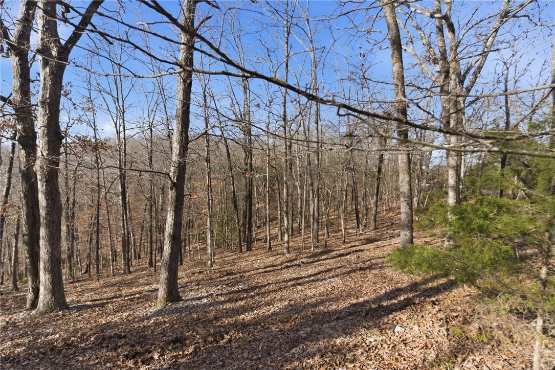 Tract 4 1601 Mundell Road