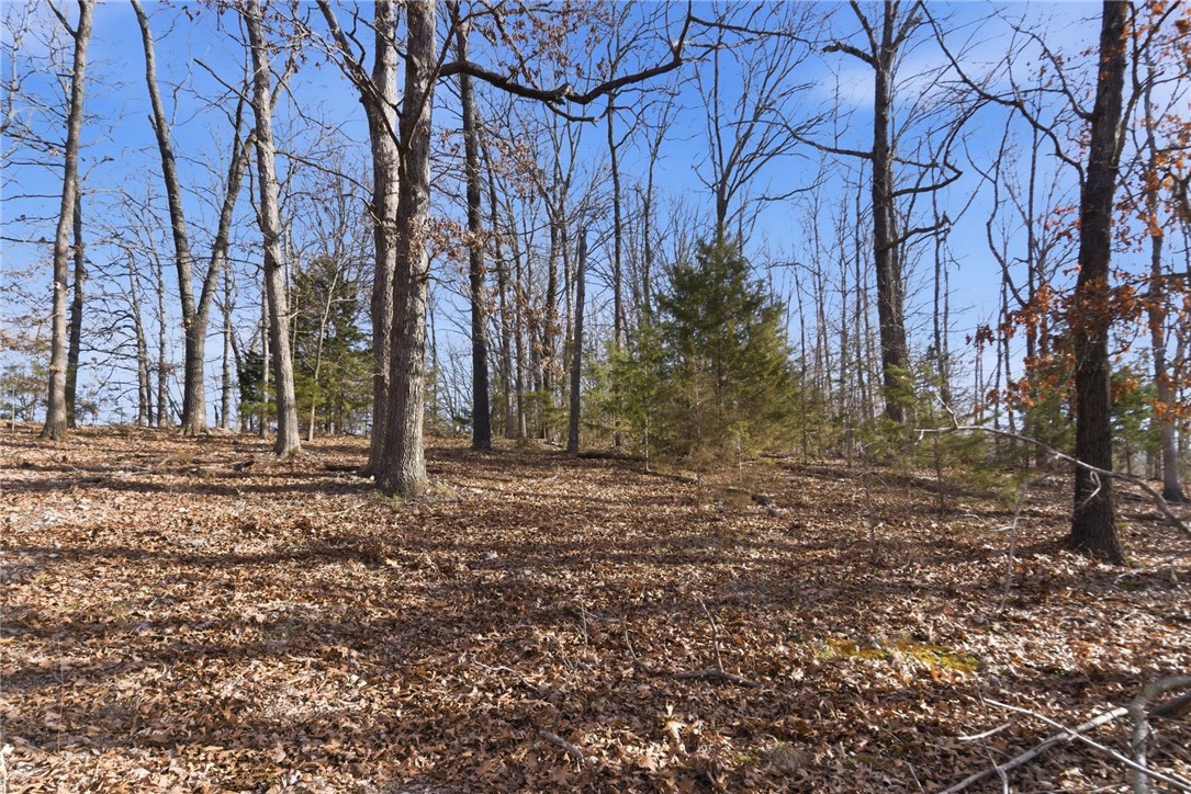 Tract 4 1601 Mundell Road