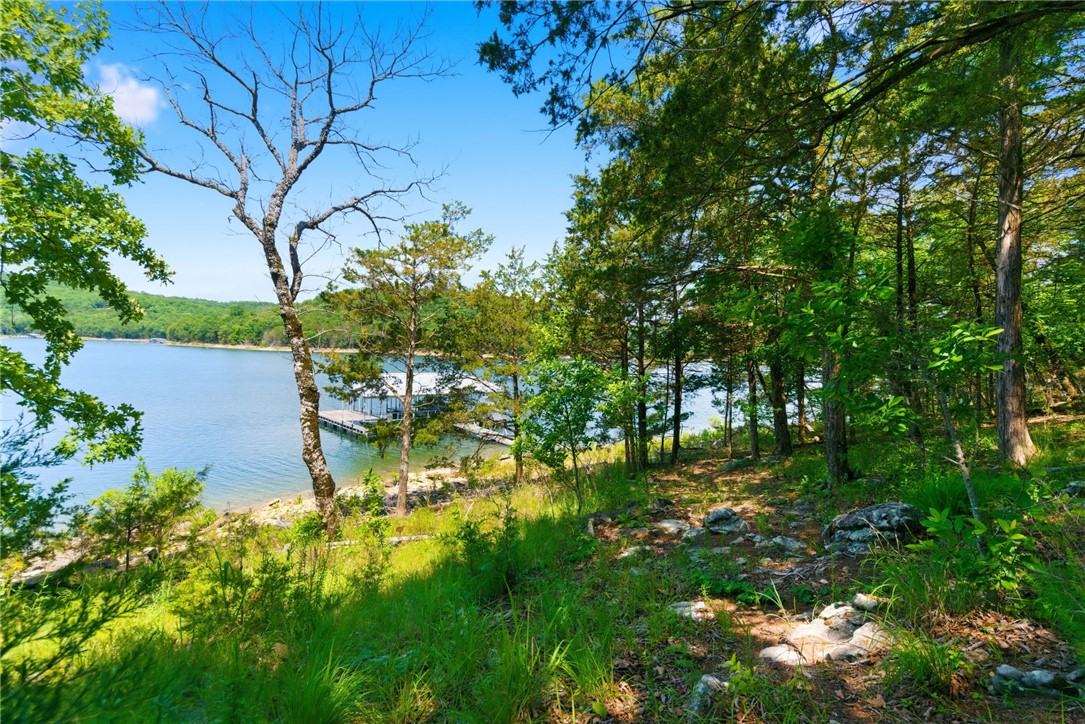 10801 Cedar Rock Road