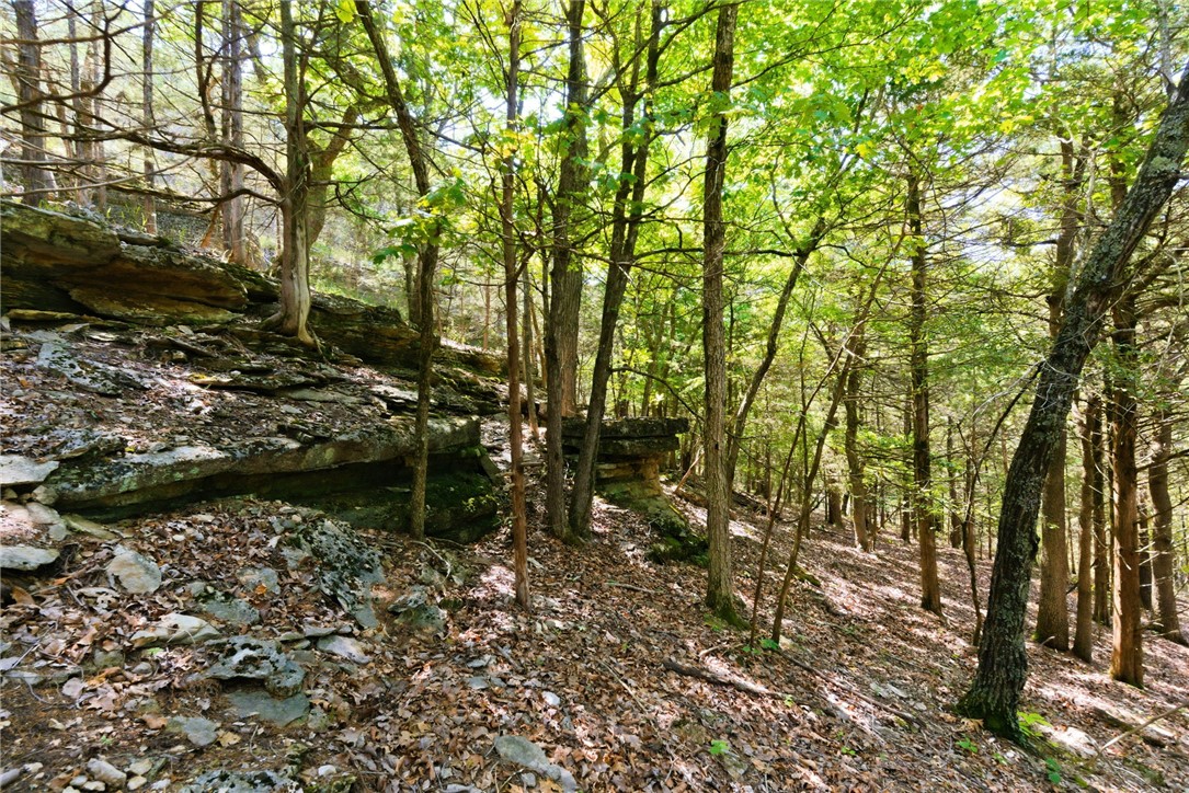 10801 Cedar Rock Road