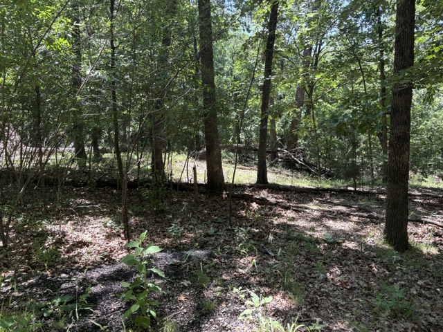 Lots 23-25 Maple Drive
