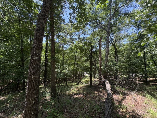 Lots 23-25 Maple Drive