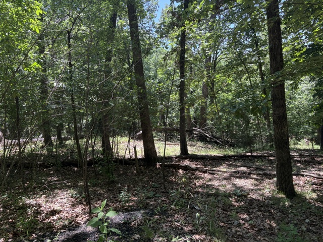 Lots 23-25 Maple Drive