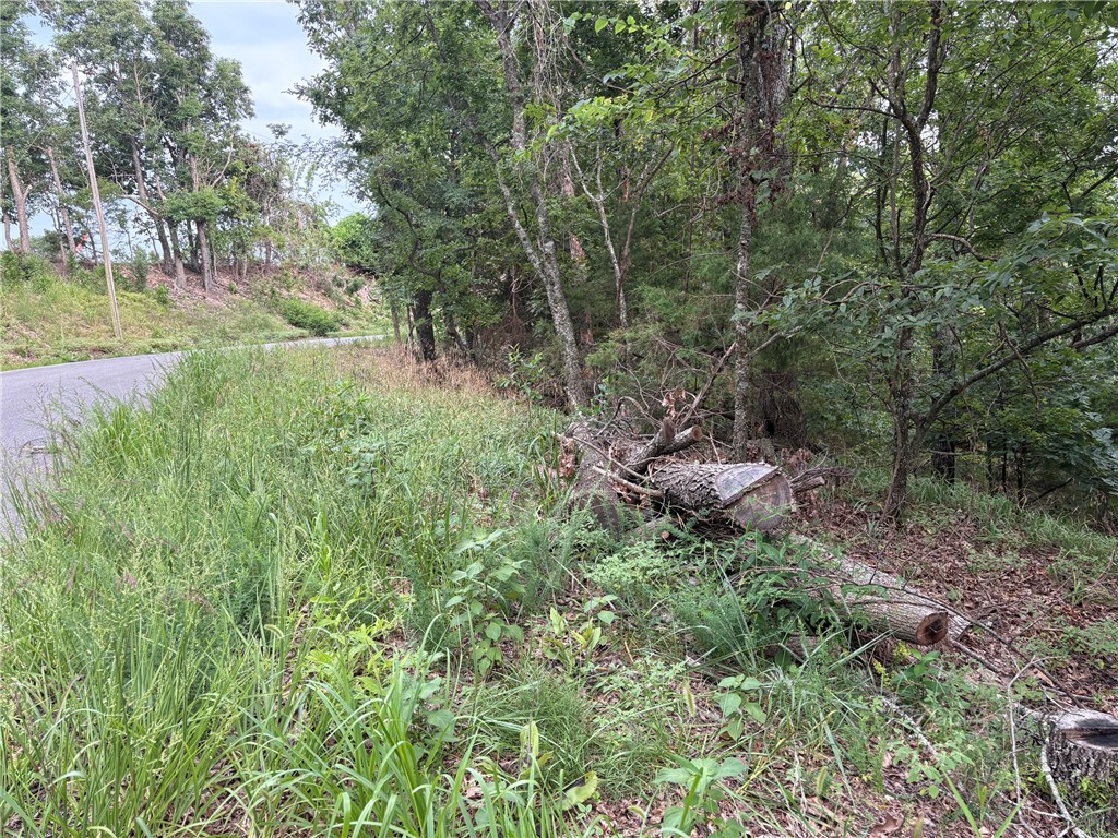 Lots 70, 71 W Airport Road