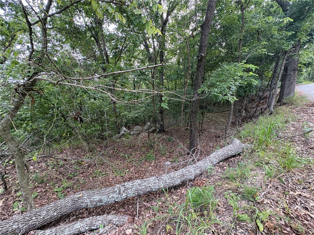 Lots 70, 71 W Airport Road