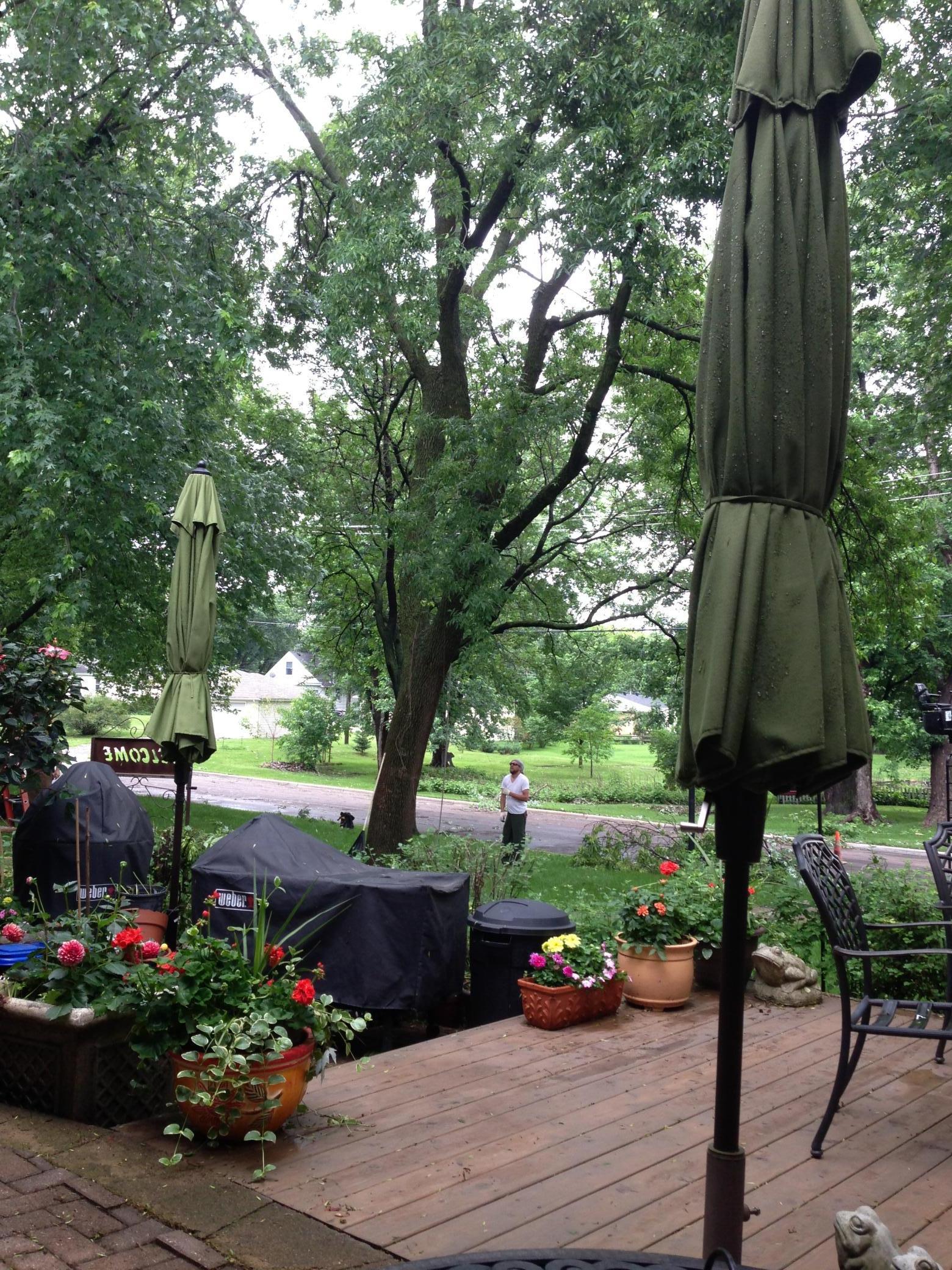 2313 Hampshire Avenue S