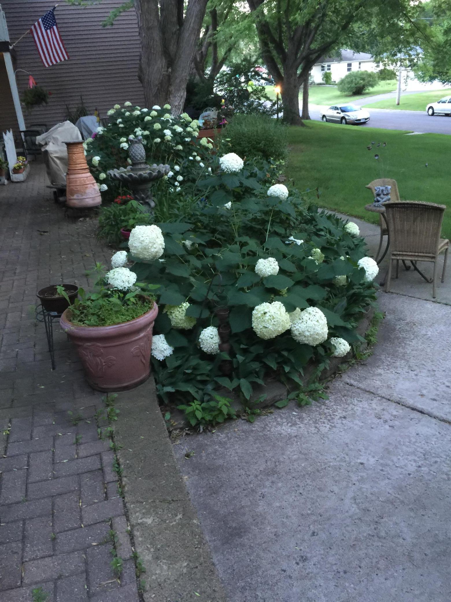 2313 Hampshire Avenue S