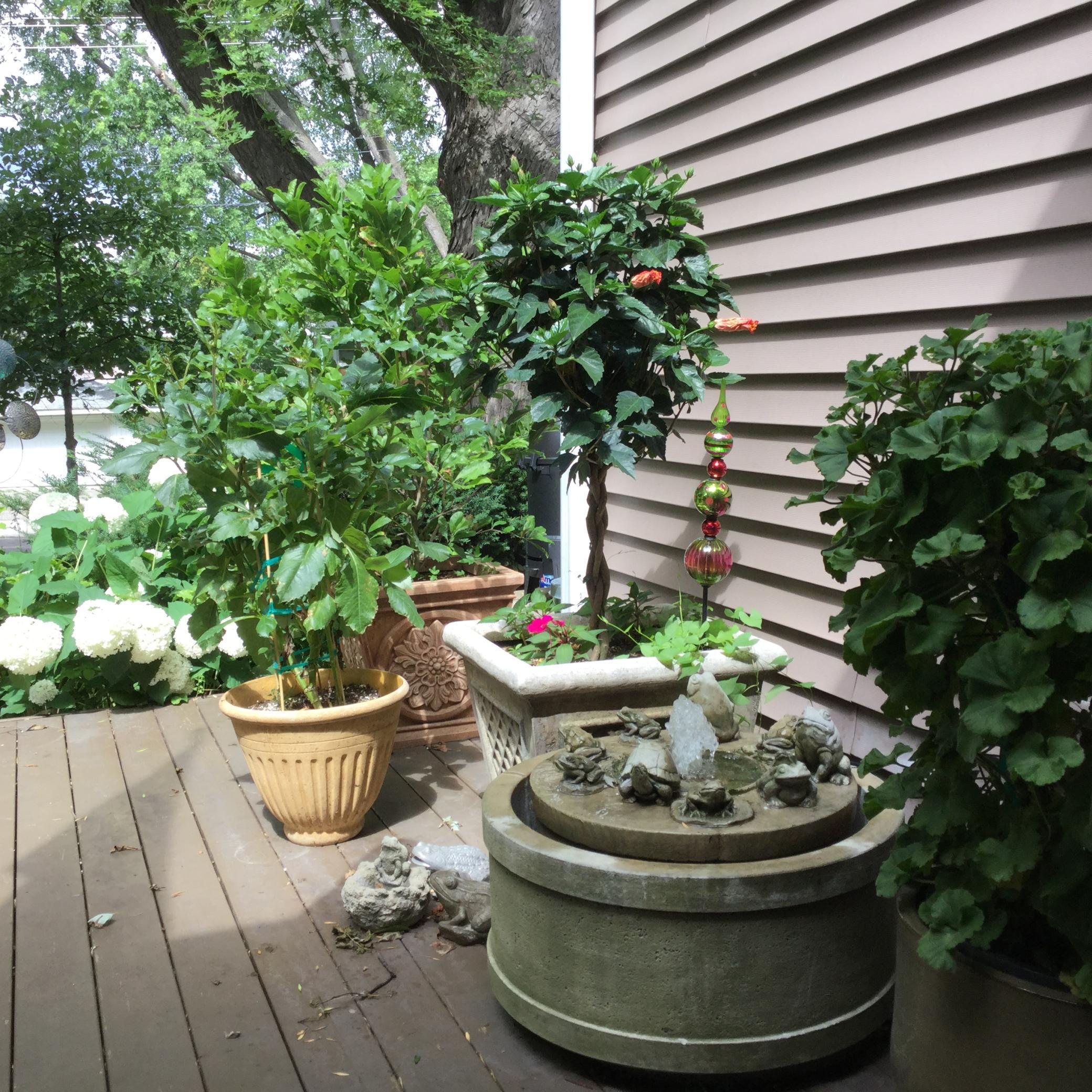 2313 Hampshire Avenue S