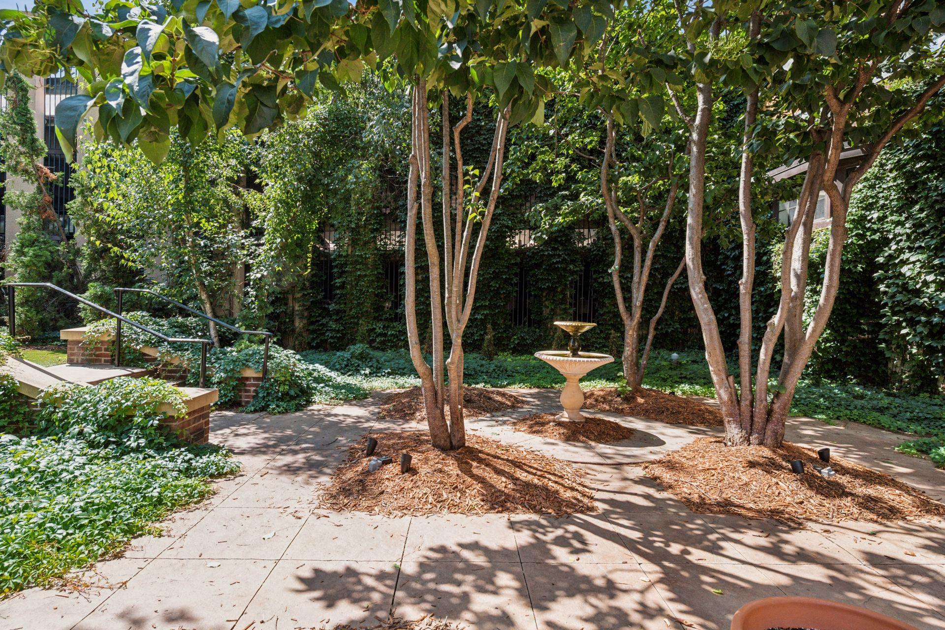 4525 Park Commons Drive Unit: 319