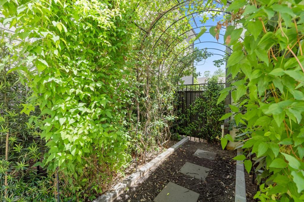 1294 Cauley Creek Overlook