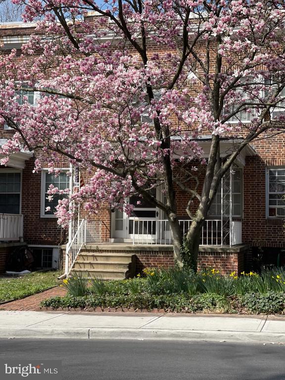 3818 Greenmount Ave