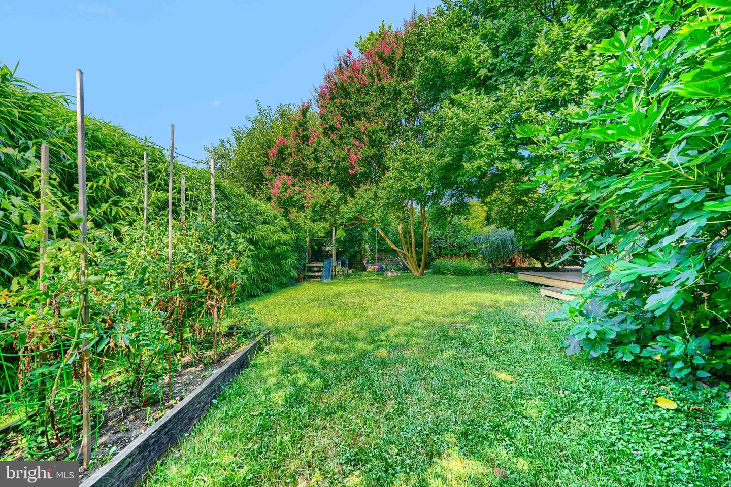 5316 Catalpha Rd