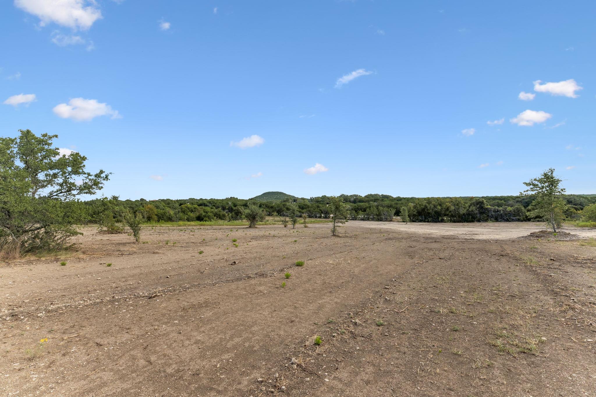 Cleared land with sparse trees, woodland at the edge, and a low hill in the distance.