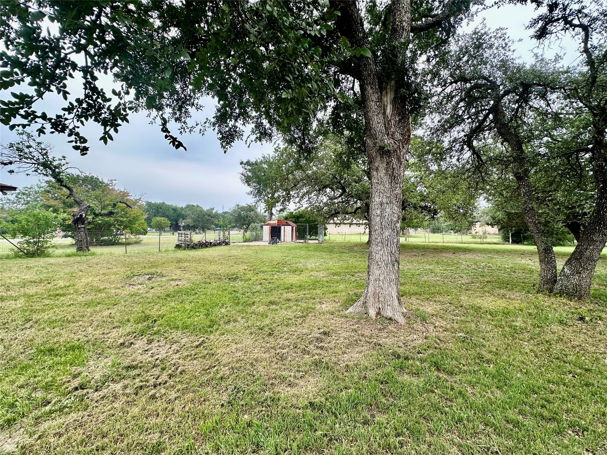 677 County Road 3081