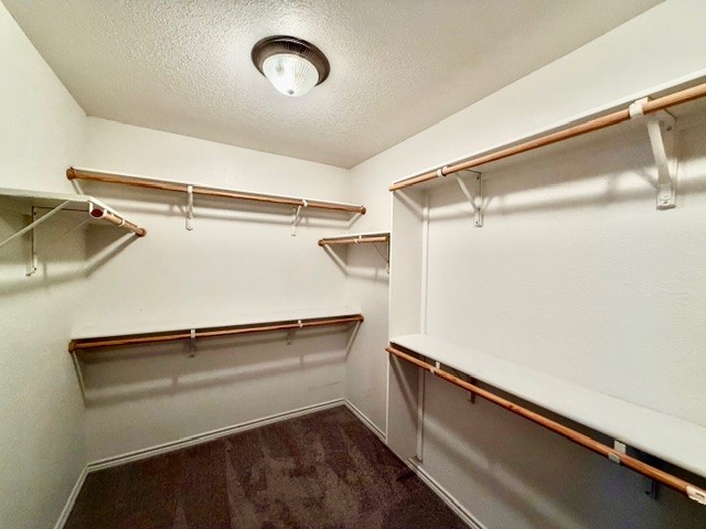 2123 Grizzly Trail