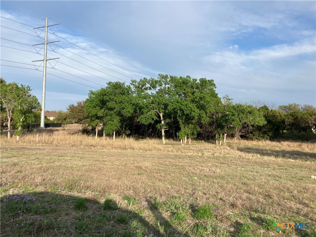 909 Magnolia Road