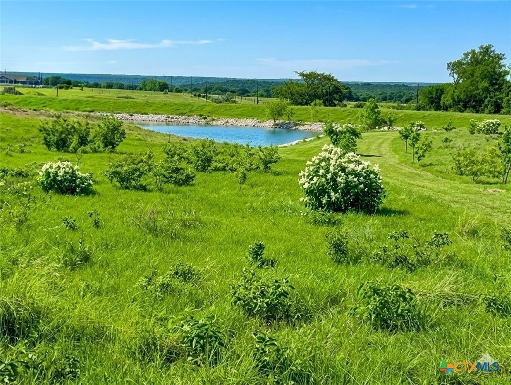 135 County Road 360