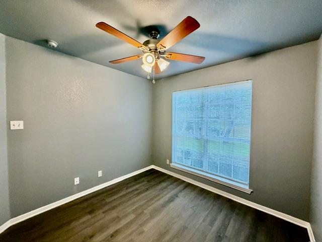 7 S Bobcat CT